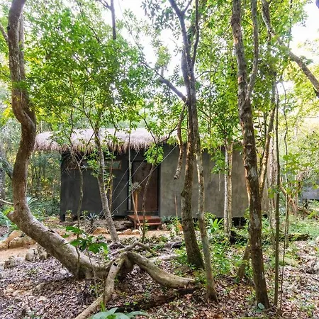 Ojo De Agua. Design+Pool. Vive La Autentica Selva!