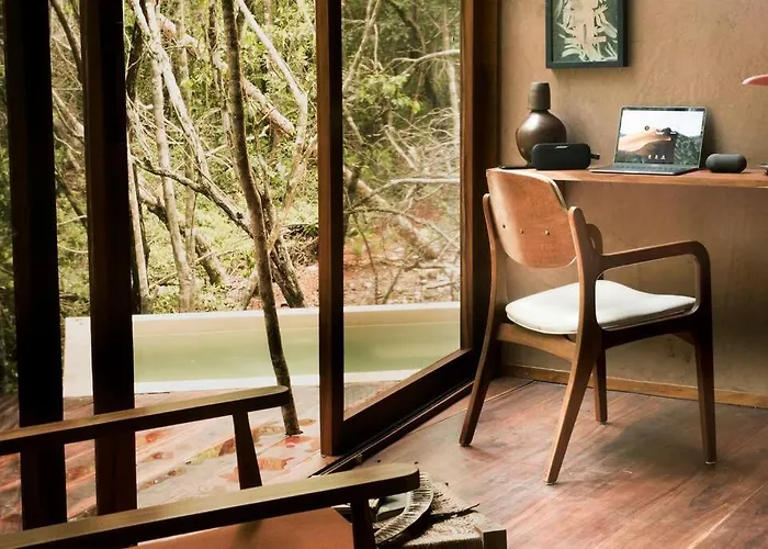 Ojo De Agua. Design+pool. Vive La Auténtica Selva! *