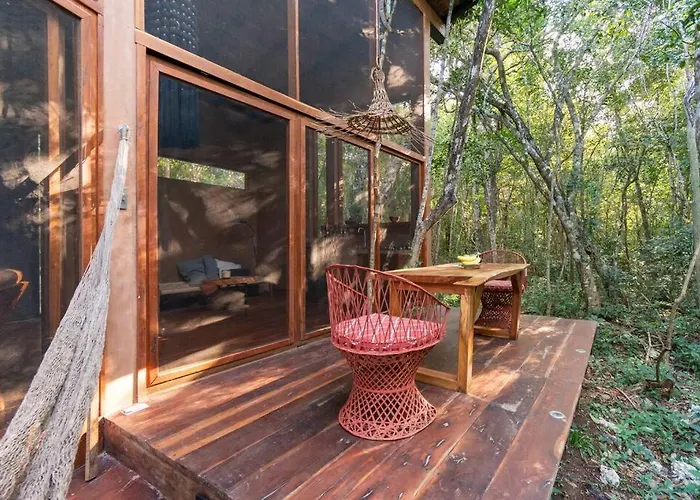 Ojo De Agua. Design+pool. Vive La Auténtica Selva! *