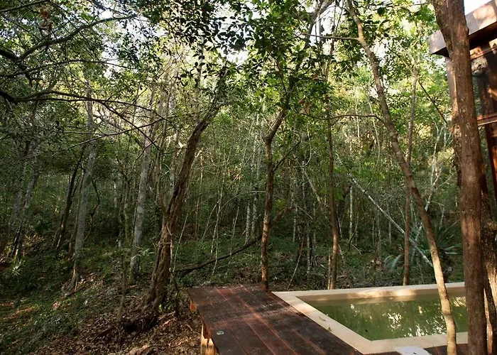 Ojo De Agua. Design+pool. Vive La Auténtica Selva! Tulum