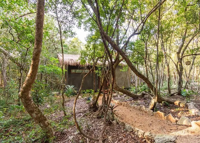 Ojo De Agua. Design+pool. Vive La Auténtica Selva! Tulum