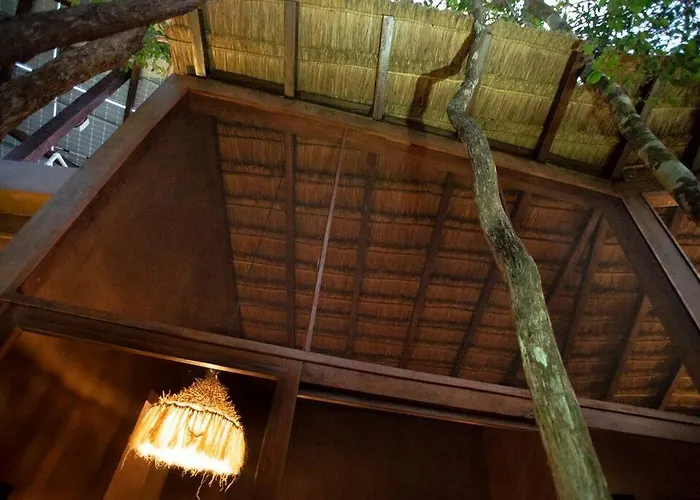 Сasa de vacaciones Ojo De Agua. Design+pool. Vive La Auténtica Selva! Tulum
