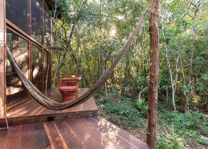 Ojo De Agua. Design+pool. Vive La Auténtica Selva! Сasa de vacaciones *