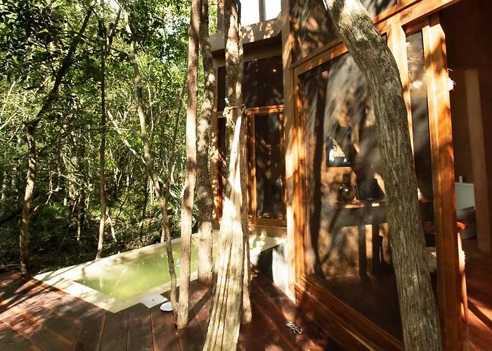 Ojo De Agua. Design+pool. Vive La Auténtica Selva! Tulum