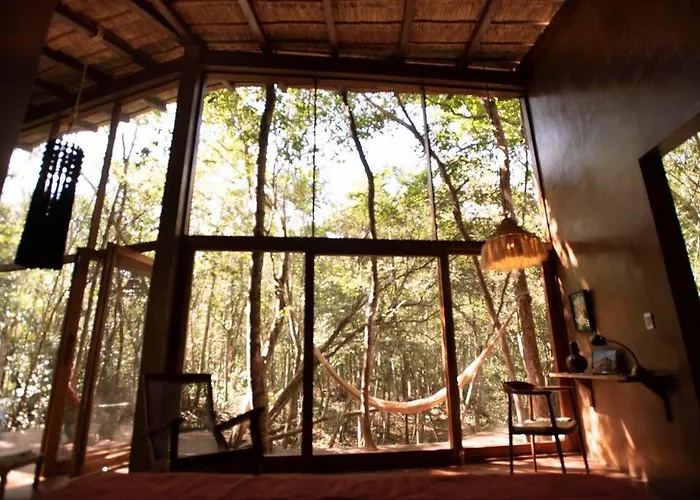 Ojo De Agua. Design+pool. Vive La Auténtica Selva! Tulum