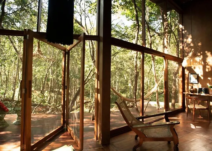 Ojo De Agua. Design+pool. Vive La Auténtica Selva! *