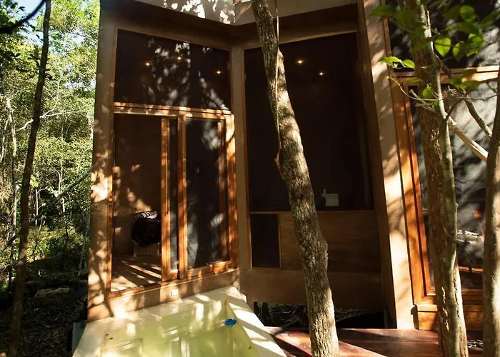 Ojo De Agua. Design+pool. Vive La Auténtica Selva! Tulum