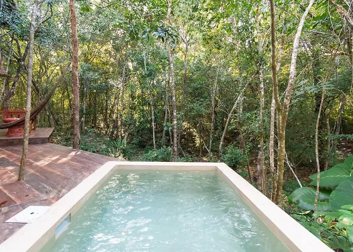 Ojo De Agua. Design+pool. Vive La Auténtica Selva! Сasa de vacaciones *