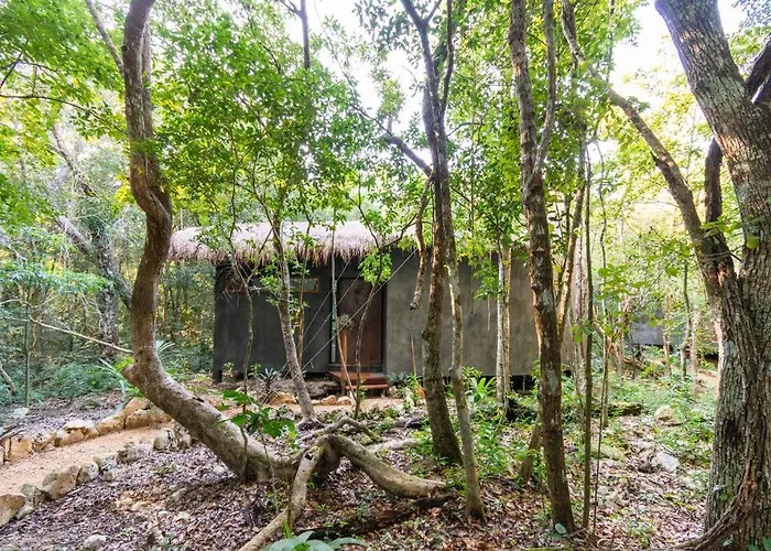 Ojo De Agua. Design+pool. Vive La Auténtica Selva! Tulum