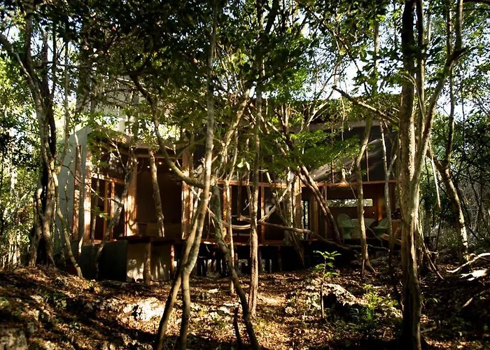 Ojo De Agua. Design+pool. Vive La Auténtica Selva! Сasa de vacaciones Tulum