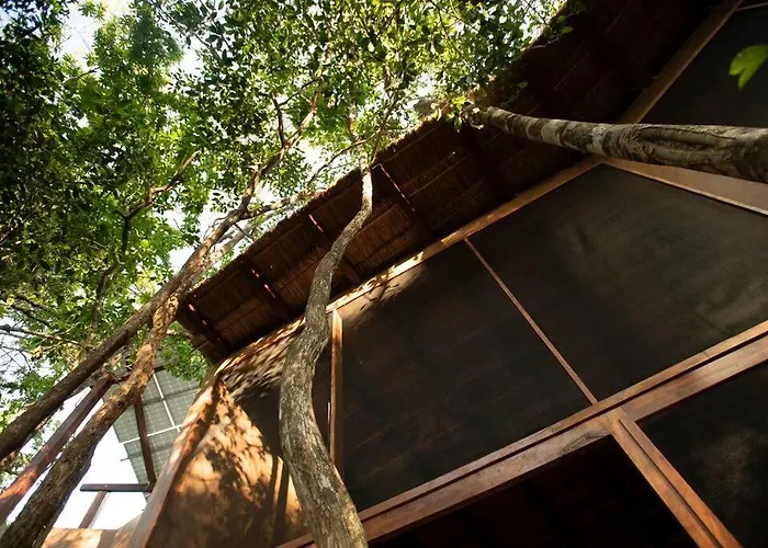 Ojo De Agua. Design+pool. Vive La Auténtica Selva! * Tulum