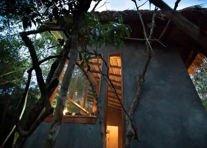 Ojo De Agua. Design+pool. Vive La Auténtica Selva! Сasa de vacaciones *